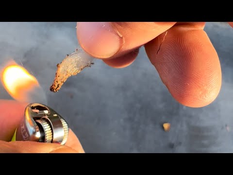 How to identify wool fibers ( burn test )