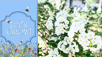 Let's Grow! ~ Join Me for a Spring Yard Tour!!