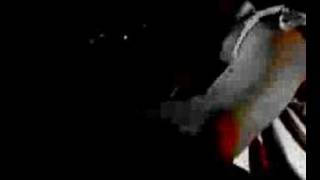 The Dead Walk! - The Ghouls