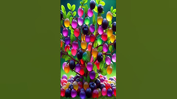 easy and fast method how to propagate and grow jamun plum fruit trees #garden #fruits #nature