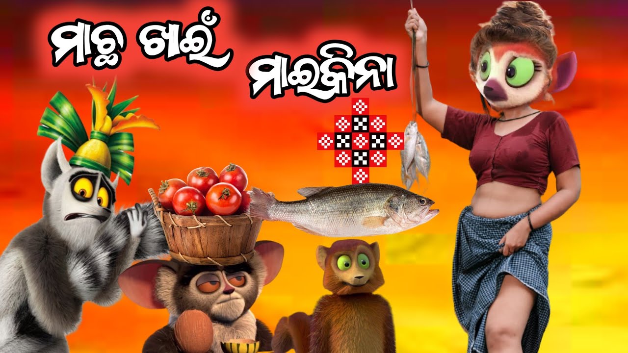 tamato khaibu maikina | sambalpuri comedy |dd koshal