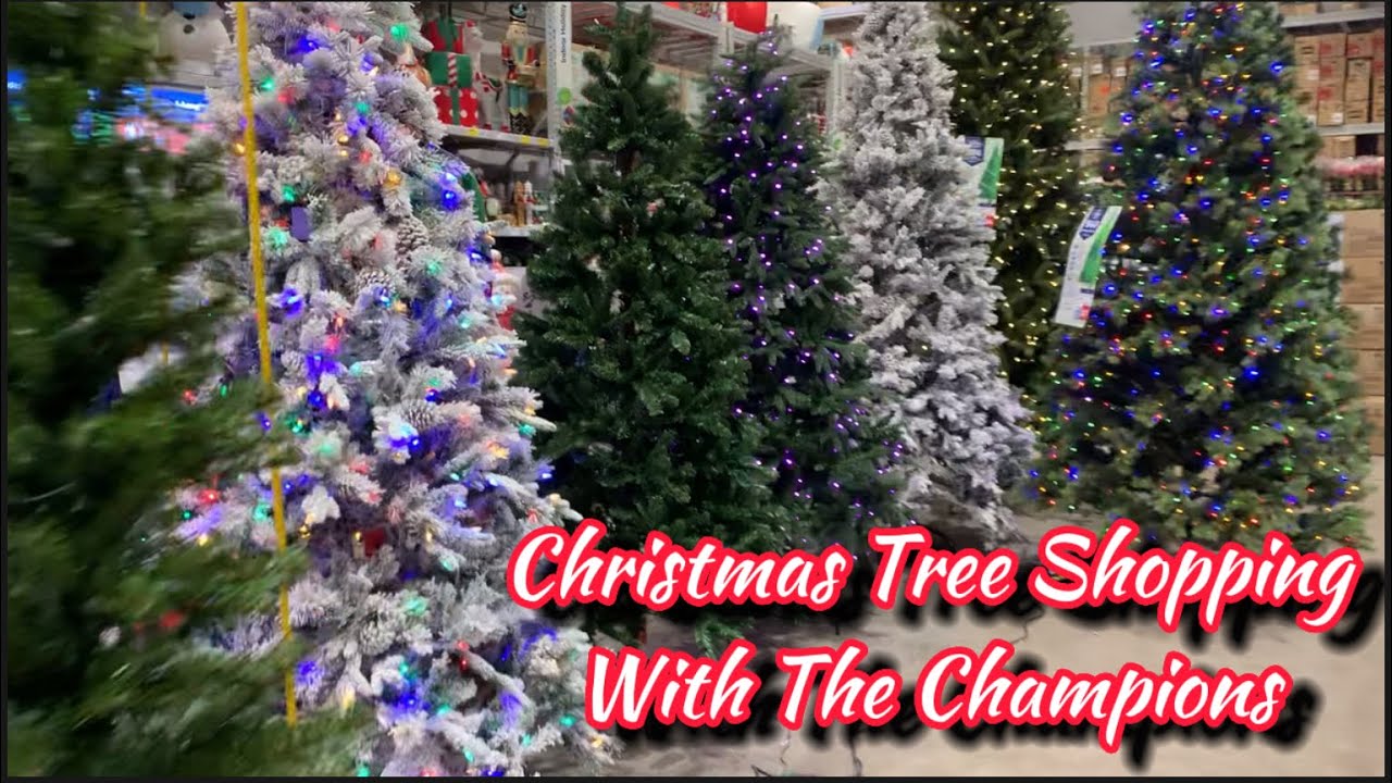 Vlogmas Day 1 **Christmas Tree Shopping**Small CVS and Grocery Haul