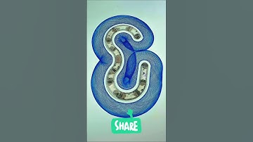 Magical Interweaving with Perfectly Connected Lines #spirographshr #satisfying #asmr #usa #art