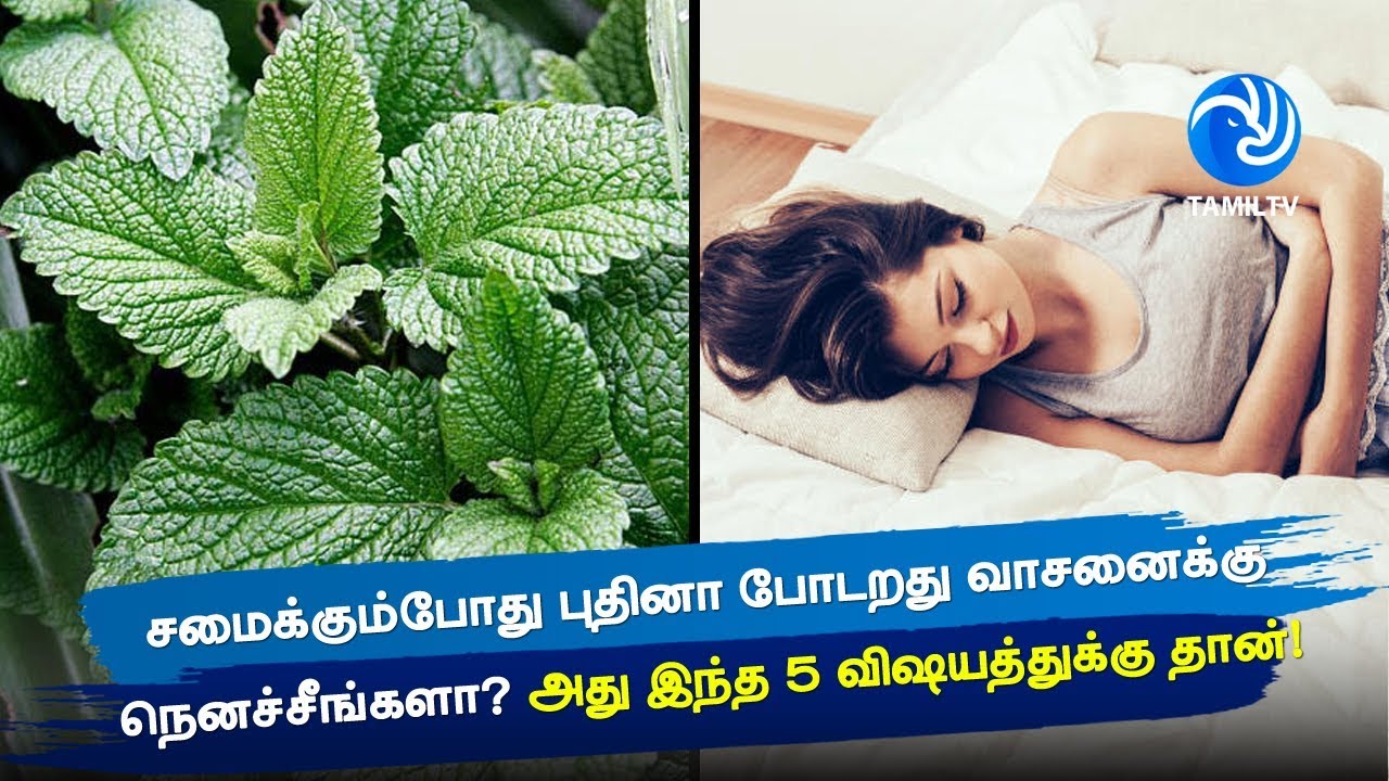 Five Reasons to Add Peppermint to Your Diet Tamil TV YouTube