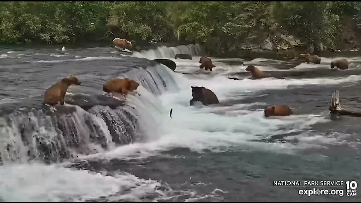 BF.  A unique way of fishing the lip, but it worked for 306. Explore.org. 7/8/22
