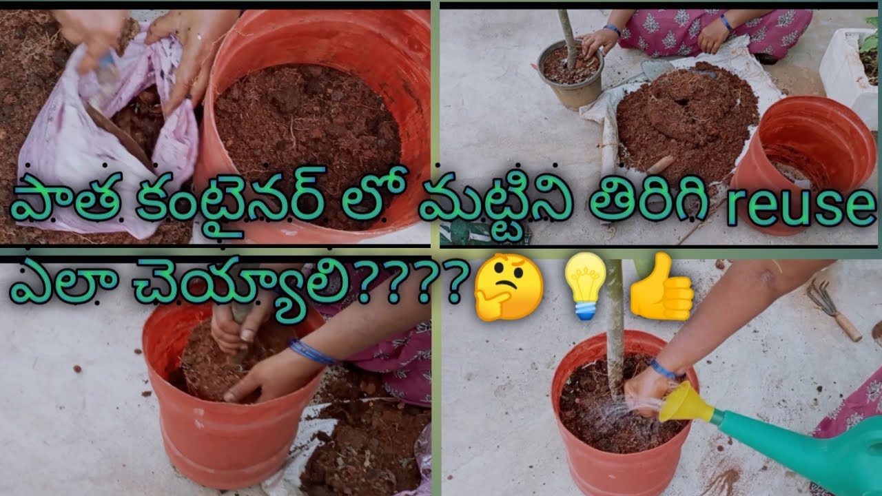 How to reuse old soil ??? YouTube