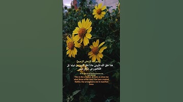 هَٰذَا خَلْقُ اللَّهِ: #القرآن_الكريم #الشيخ_المنشاوي #القرآن #quran #alquran #تلاوة_خاشعة #تجويد