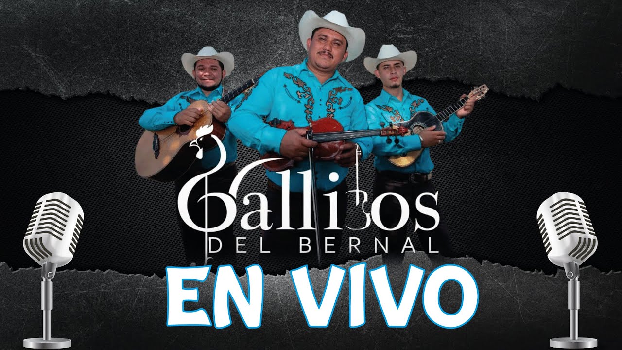 Mix de Cumbias Los Gallitos del Bernal | EN VIVO