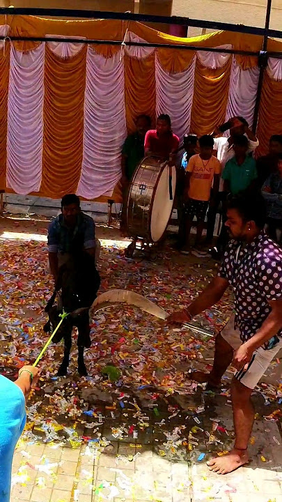 Goat 🐐 cutting God Muneswara #goat #cutting #muniswaran #bengaluru