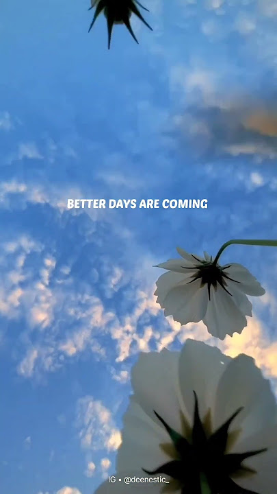 Happiness | Ramadan Coming 🕊🌼 #ramadan #status #islamic