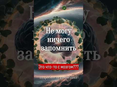 Не могу ничего
