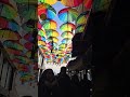 VIBRANCE YOU CAN'T MUTE!!🇹🇷#shorts #youtubeshorts #turkey #istanbul