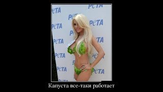 Смешные демотиваторы. Подборка декабрь 2017 Смешные демотиваторы. Подборка декабрь 2017