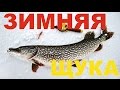 ЗИМНЯЯ РЫБАЛКА НА КРУПНУЮ ЩУКУ . часть 2