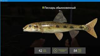 Русская Рыбалка 4. Вьюнок - ловим пескаря для живца