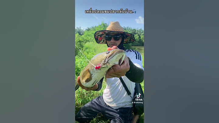 เหยื่อปลอมขนปลากลับบ้าน😅    #น้าโต้พัทลุง🧔🏻