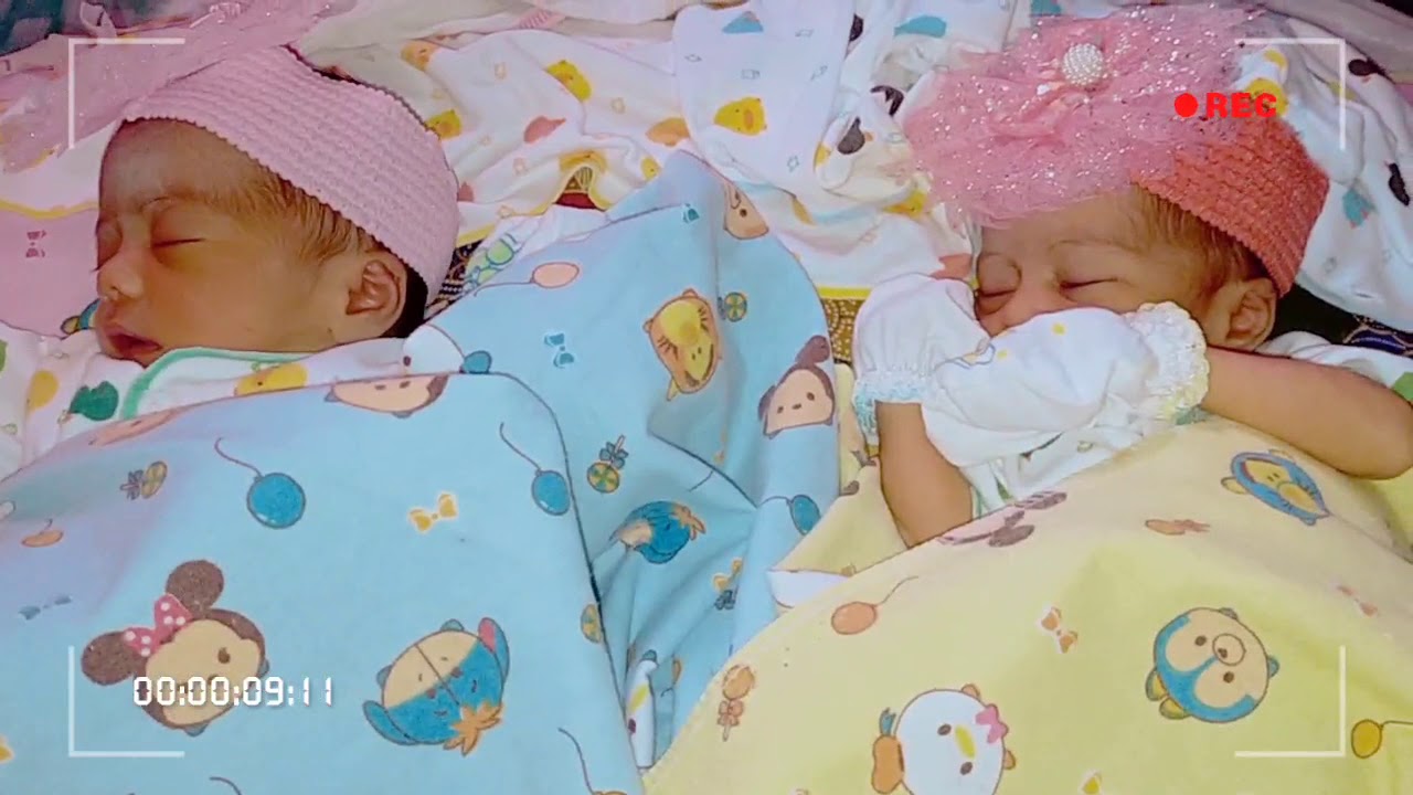  Bayi kembar lucu  dan menggemaskan YouTube