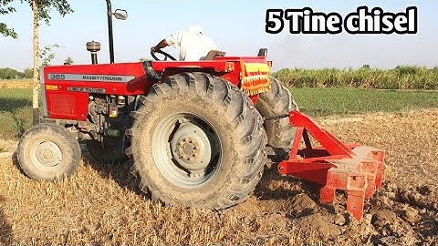 Mf 385 with 5 tine Chisel cultivator very powerful performance 💪💪