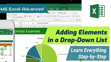 How to Add Elements in Drop Down List - MS Excel (Urdu/Hindi)