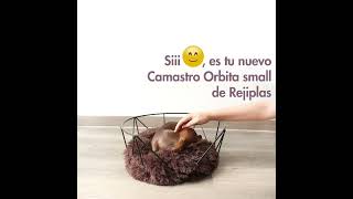 Cama para mascota · Camastro Orbita Small Rejiplas #pets #mascotas #home #hechoencolombia #dog