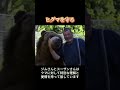 20年以上にわたりヒグマを守り続け、我が子のように愛する海外の夫妻。種族の壁を越えた、心温まる友情の物語。