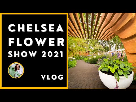 Wideo: Jak Dostać Się Na Wystawę Kwiatów?
