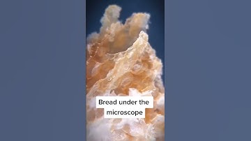 #macro_captures #macrozoom #micro #macros #macroworld