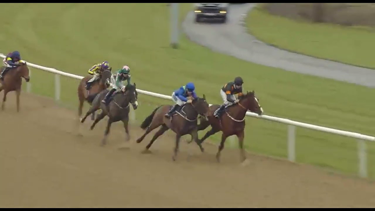 RACE 4 WOLVERHAMPTON UK 23 JAN 2026