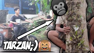 Film-Pendek Tarzan