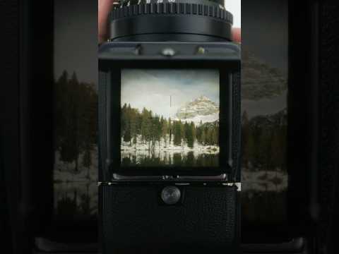 Hasselblad’s Viewfinder: A