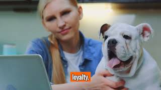 The English Bulldog - Top Personality Traits Characteristics And Facts
