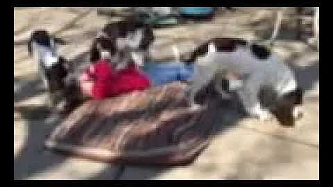 Caroline with Tribble and Siblings
