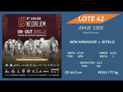 LOTE 42