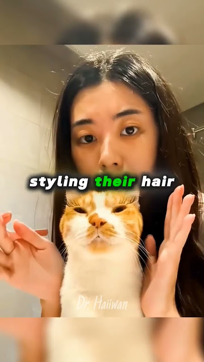 #awezchaitrend