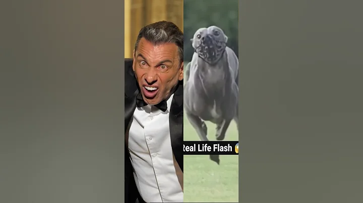 Sebastian Maniscalco - Greyhound (Is It Me?)