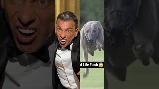 Sebastian Maniscalco - Greyhound (Is It Me?)