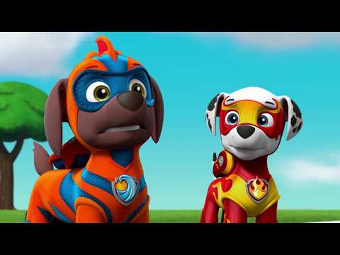 La Pat’ Patrouille : Mighty Pups, la Super Patrouille | Zuma | NICKELODEON JUNIOR