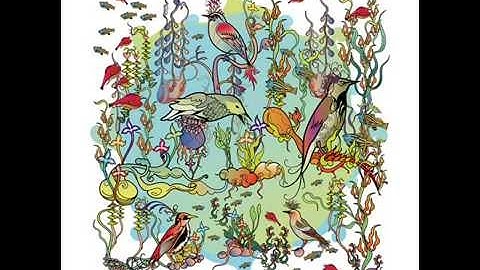 Little Bittern - John Zorn [Best Quality on YouTube]