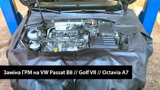 Заміна ГРМ та сервіси VW Passat B8 // Golf 7 // Octavia A7 - вартість та перелік регламентних робіт