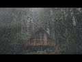 Regn lyder i skogen for svn avslappende meditasjon dyp svn  10 timer regn lyder og torden