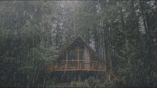 Regn lyder i skogen for søvn, avslappende, meditasjon, dyp søvn - 10 Timer Regn lyder og Torden