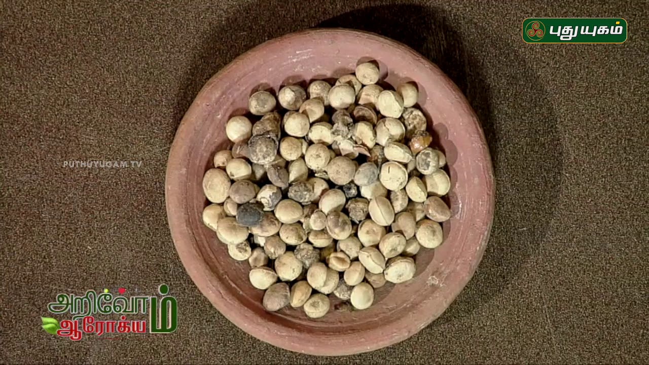 உடலை பருமனாக்கும்  `தேற்றான்கொட்டை’ | EP 86 | Arivom Arogyam | 11/06/2019