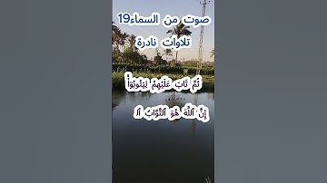 صوت من السماء 19 # تلاوة نادرة #قرآن #قران_كريم #قران #قرآن_كريم #اكسبلور #الشيخ مبارك  #الشيخ