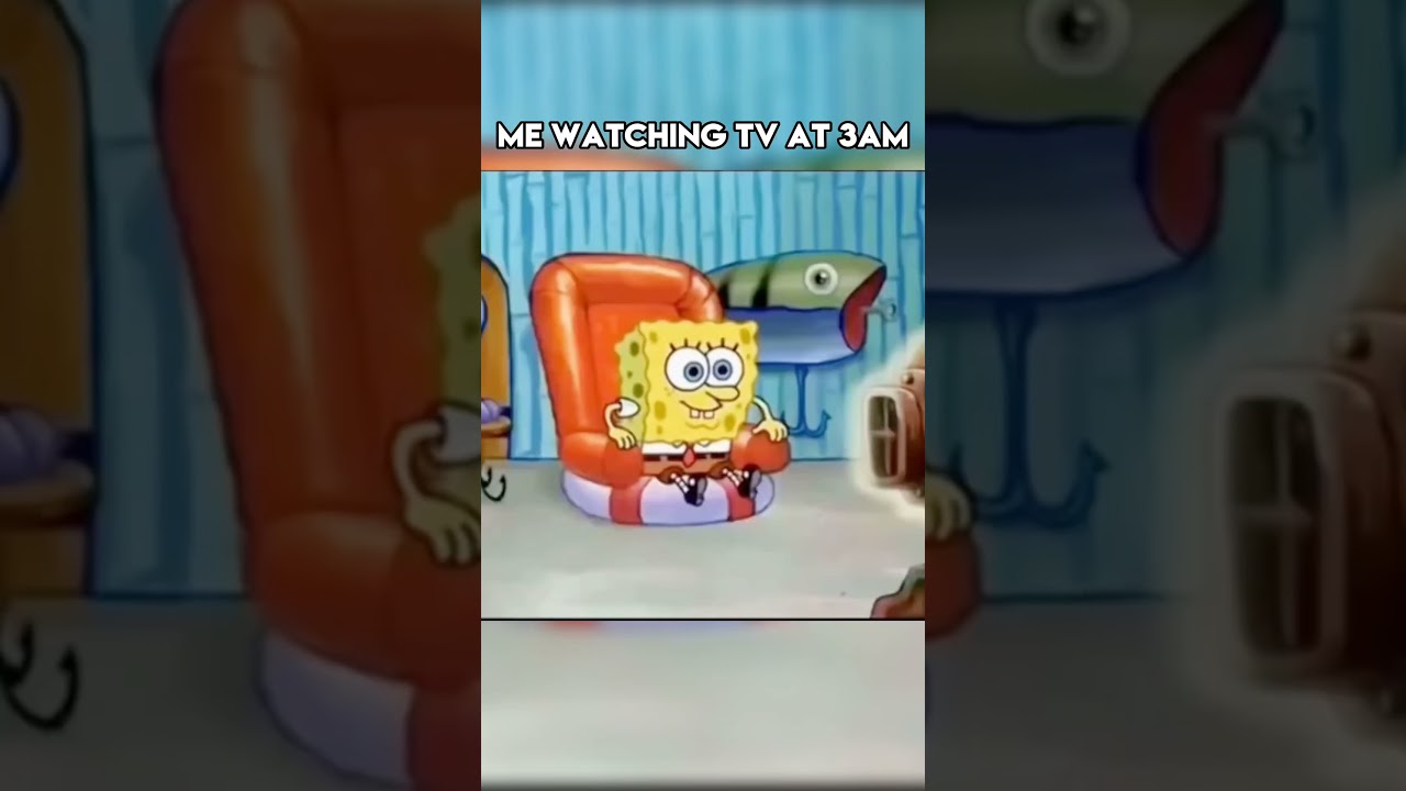 Me watching TV at 3am 