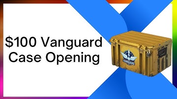 $100 Operation Vanguard Case Opening. Was It Worth It?