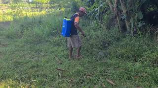 The Process of Spraying Medicine on Agricultural Land Using Unique Tools — Agriculture Farming