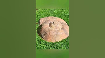 Make a snail shell out of concrete #concretedecor #gardendecor #homeandgarden