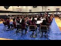 Chamber orchestra  molly on the shore irish reel