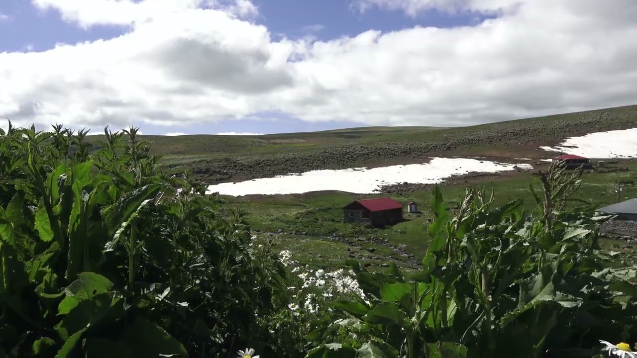 DOĞANIN KALBİNDE SAKLI CENNET | YASAMAL YAYLASI [4K VİDEO]