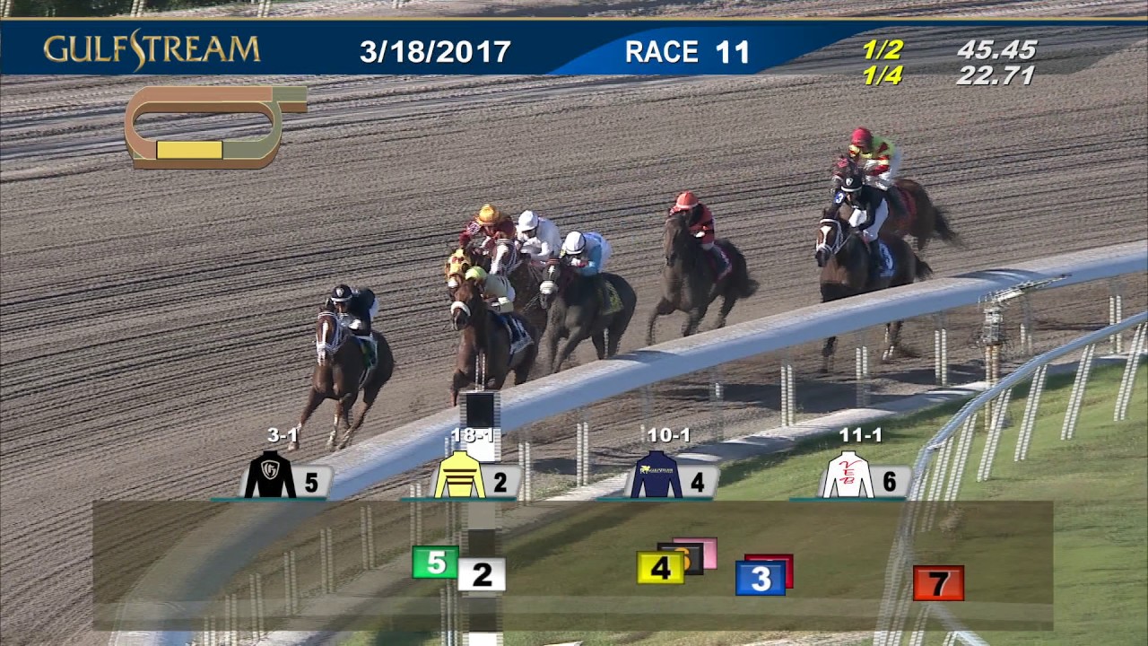 gulfstream live racing video